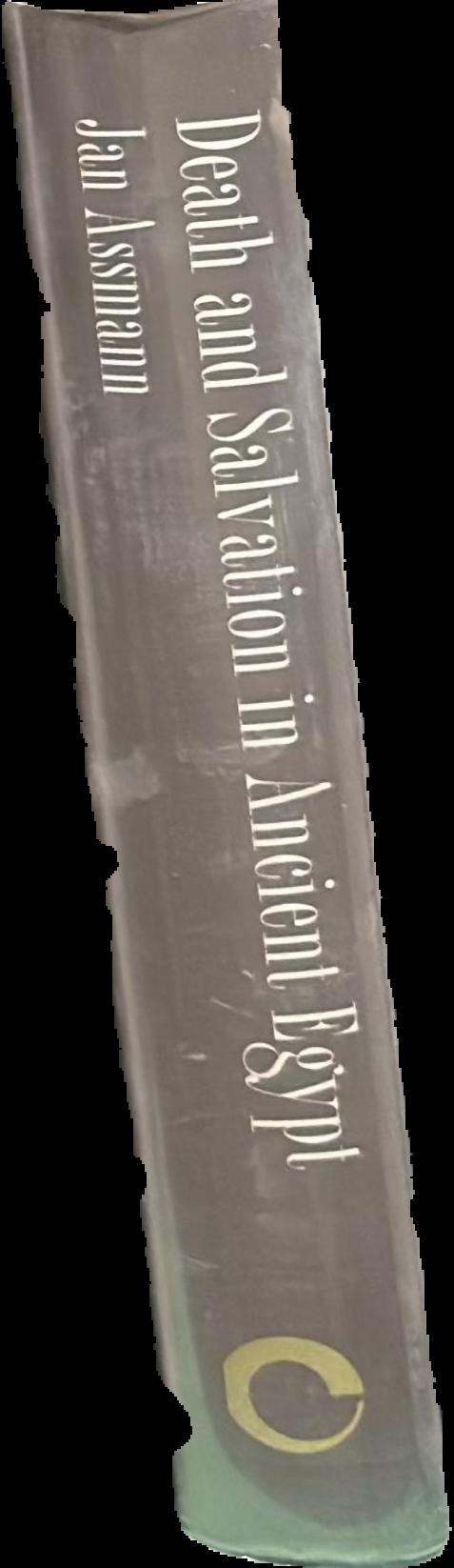 Death and salvation in ancient Egypt spine