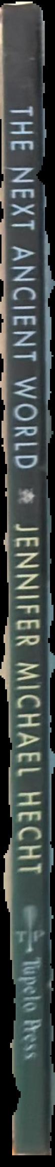 The next ancient world / Jennifer Michael Hecht spine
