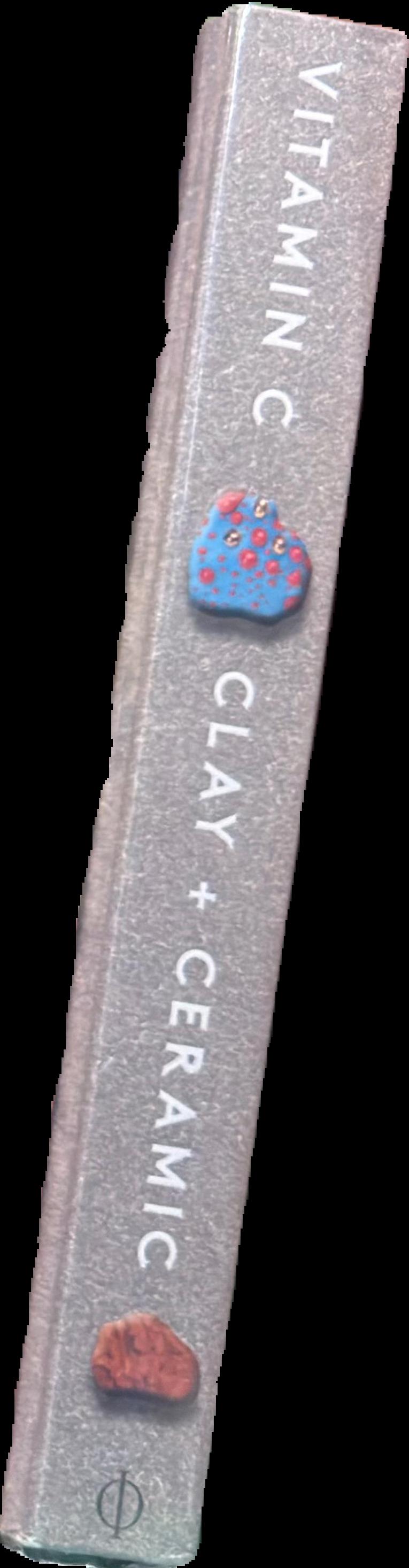 Vitamin C : clay and ceramic in contemporary art spine
