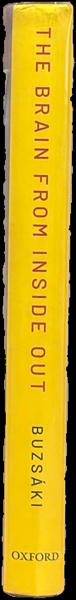 The brain from inside out spine