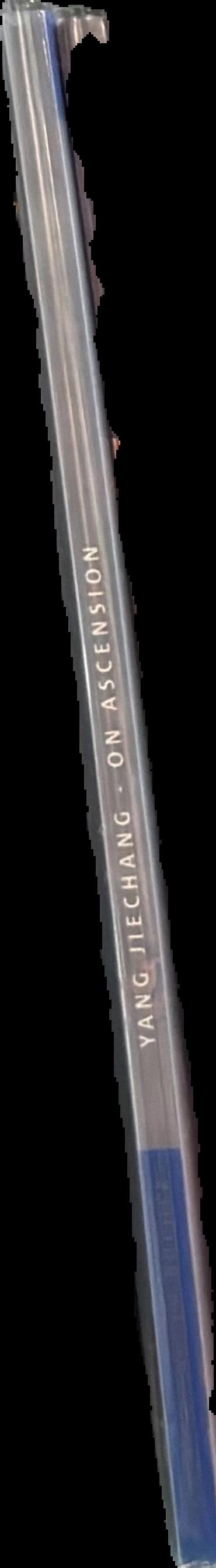 Yang Jiechang : on ascension spine