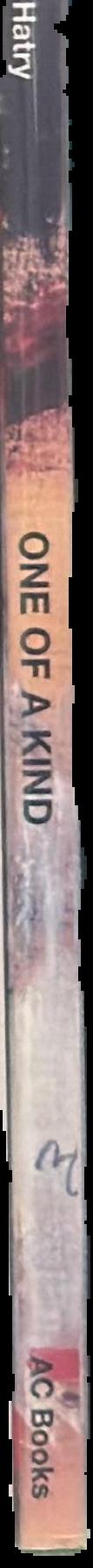 One of a kind : unique artist's books spine