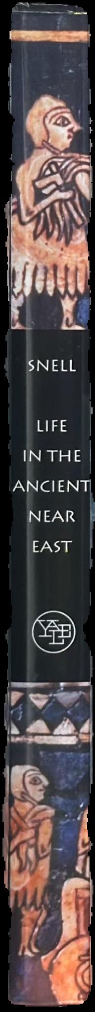 Life in the ancient Near East 3100-332 BCE / Daniel Snell spine
