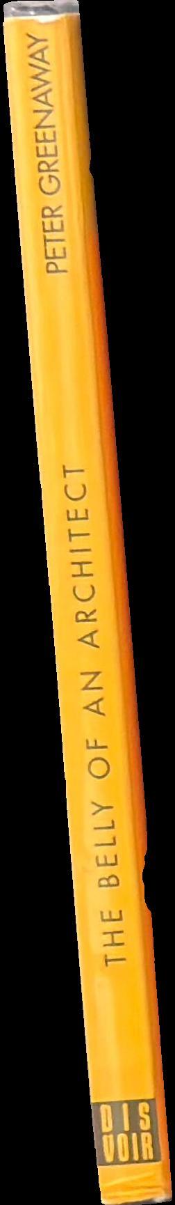 The belly of an architect spine