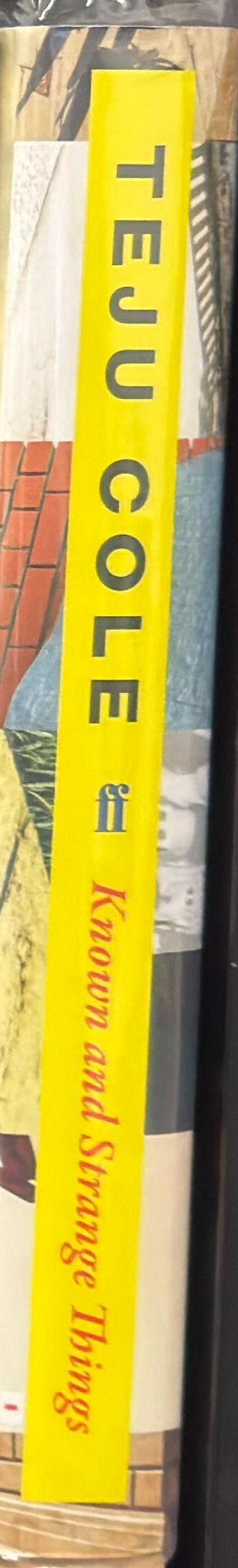 Known and strange things : essays spine