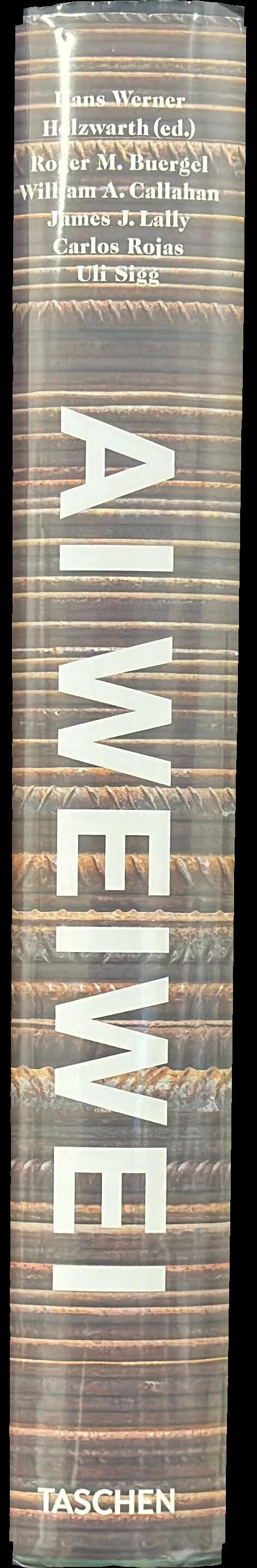 Ai Weiwei spine