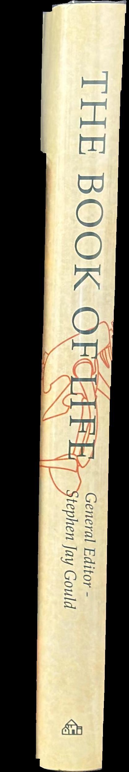 The book of life spine