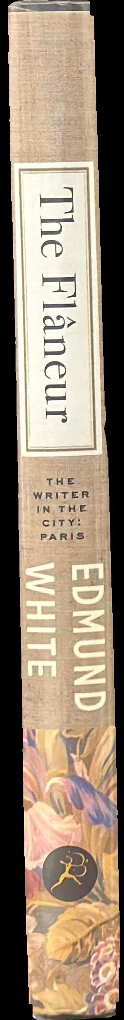 The flâneur : a stroll through the paradoxes of Paris spine