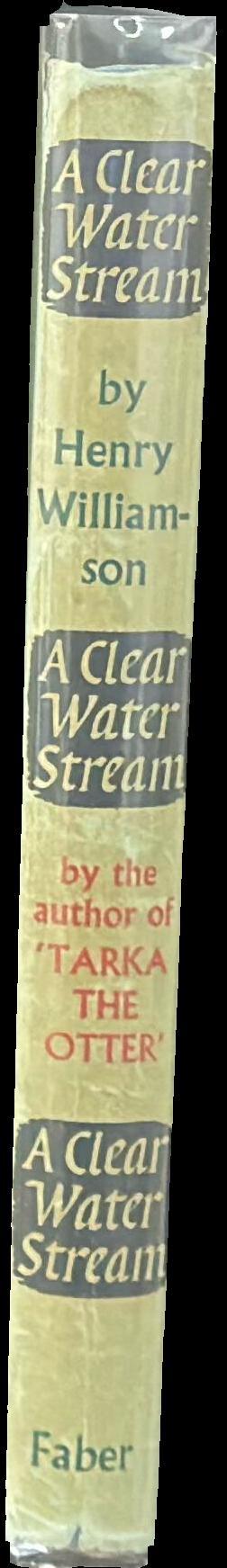 A clear water stream spine