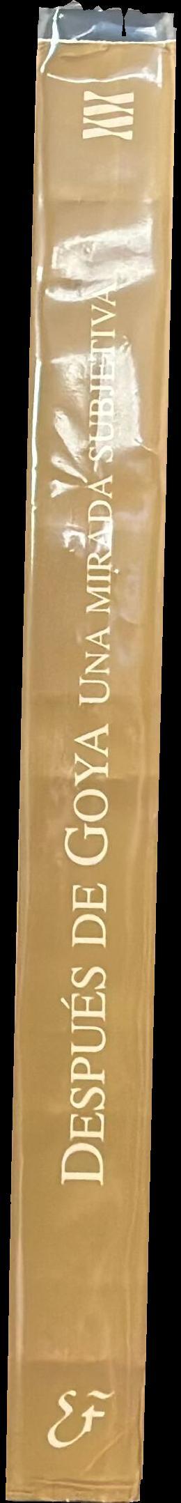 Después de Goya : una mirada subjetiva : 19 de noviembre, 1996 - 10 de enero , 1997 / Caja de Ahorros de la Inmaculada de Aragón spine