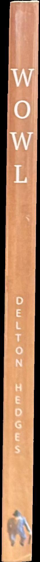 Watching over the White Library spine