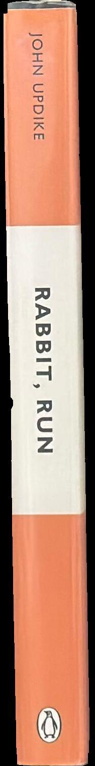 Rabbit, run spine