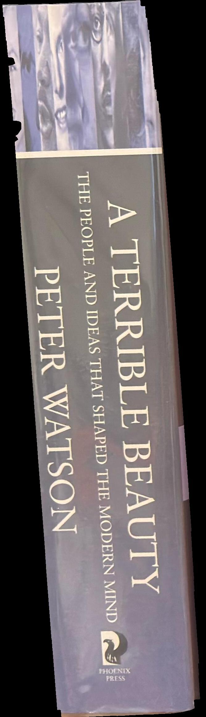A terrible beauty : the people and ideas that shaped the modern mind : a history spine