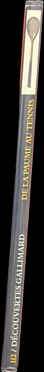 De la paume au tennis spine