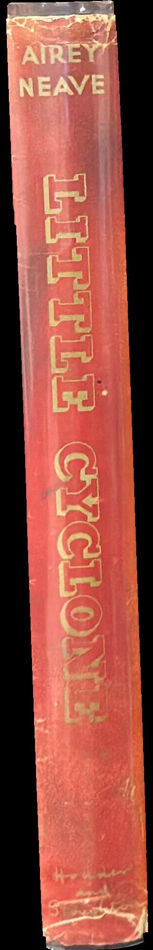 Little Cyclone spine