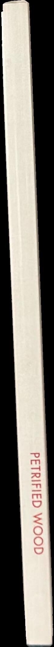 Petrified wood spine