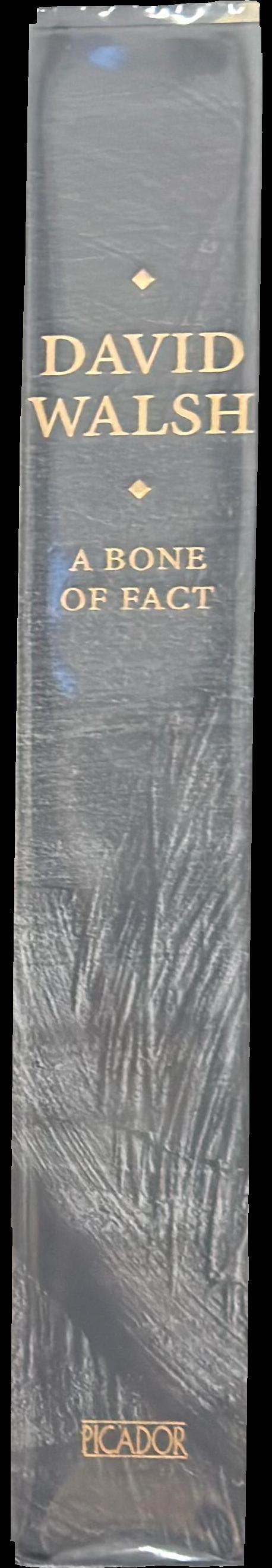 A bone of fact spine