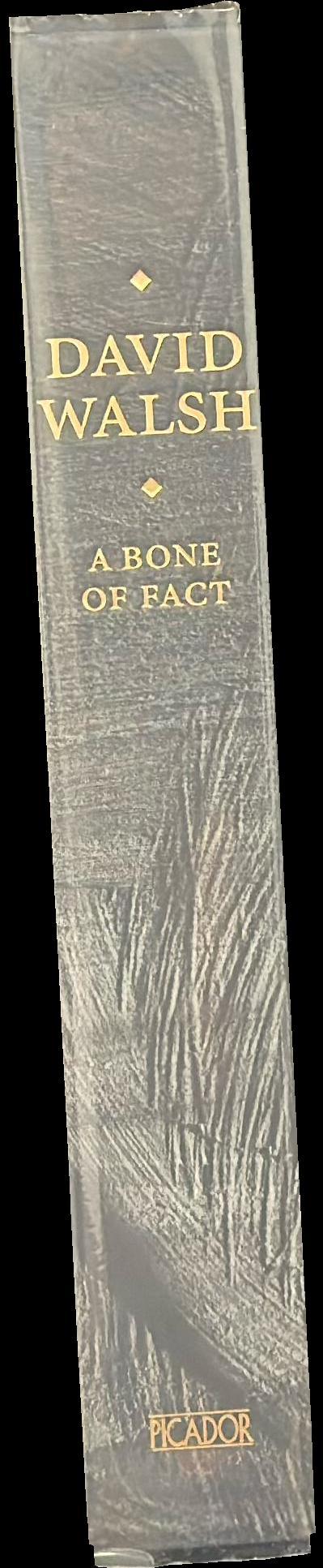 A bone of fact spine