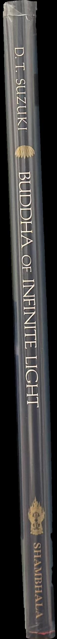 Buddha of infinite light spine