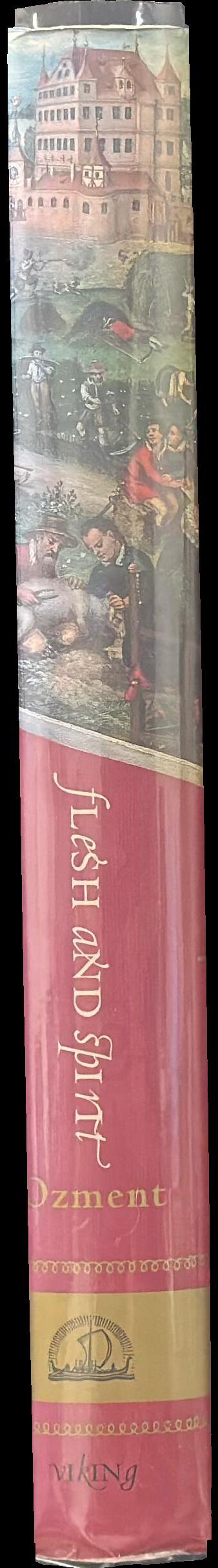 Flesh and spirit : private life in early modern Germany spine