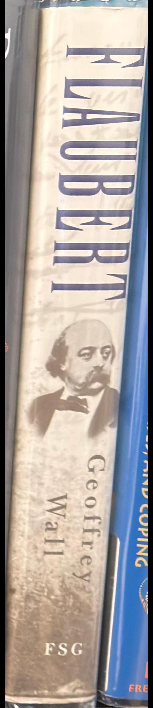 Flaubert : a life spine