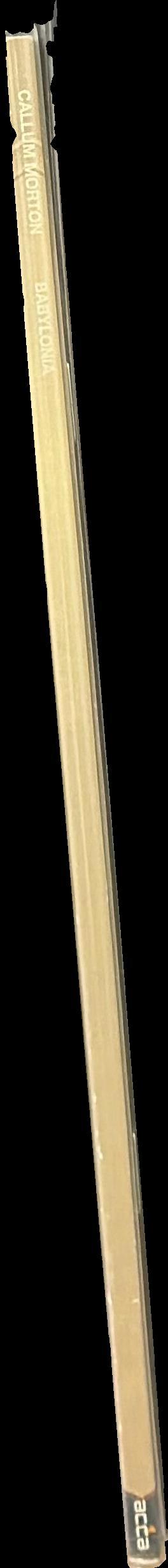 Callum Morton : Babylonia spine