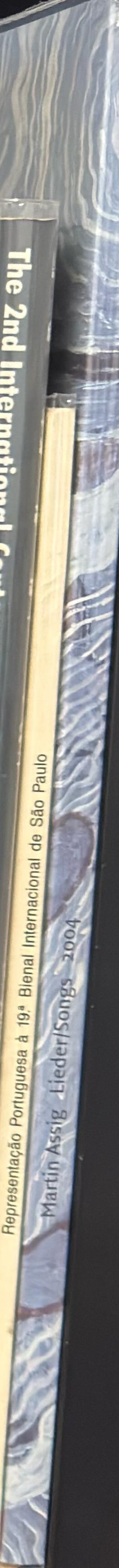 Martin Assig : lieder/songs spine