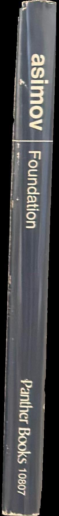 Foundation spine