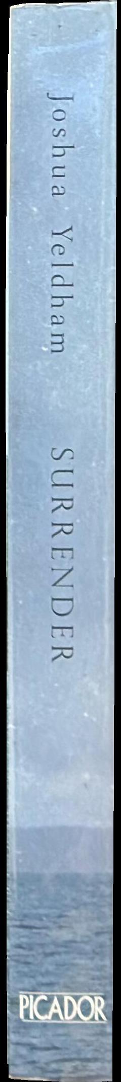 Surrender : a journal for my daughter spine