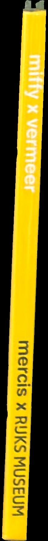 Miffy x Vermeer spine