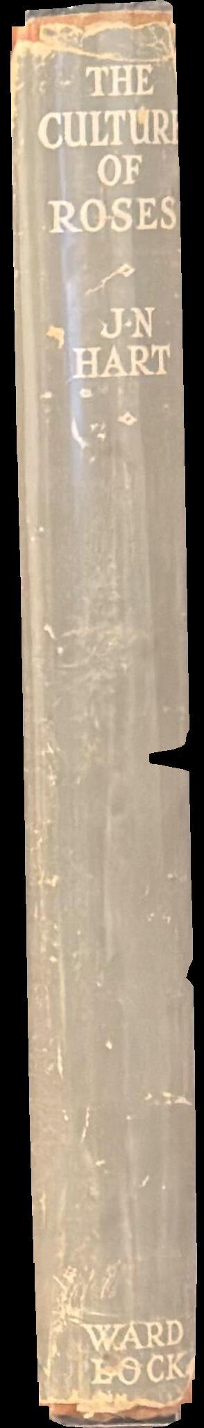 The culture of roses spine
