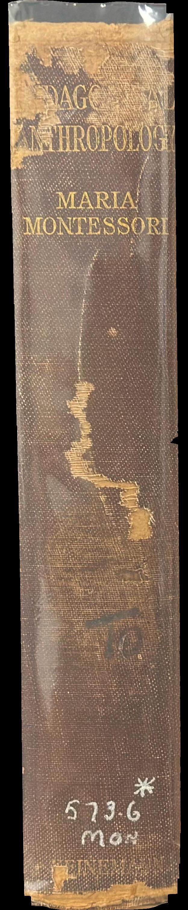 Pedagogical anthropology spine