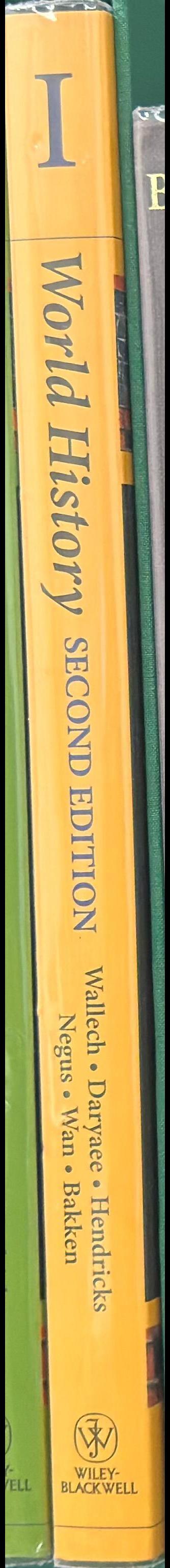 World history : a concise thematic analysis I spine