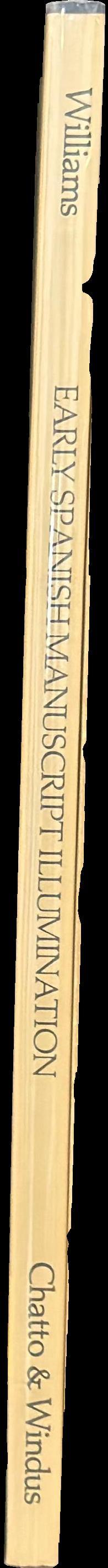 Early Spanish manuscript illumination spine