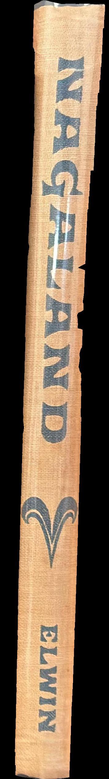 Nagaland spine