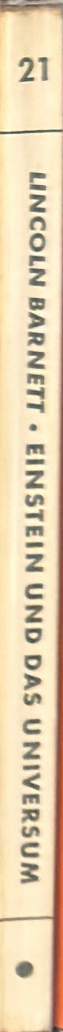 Einstein und das Universum spine