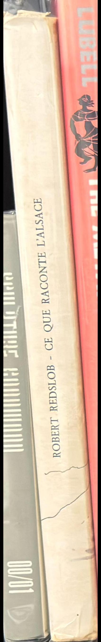 Ce que raconte l'Alsace spine