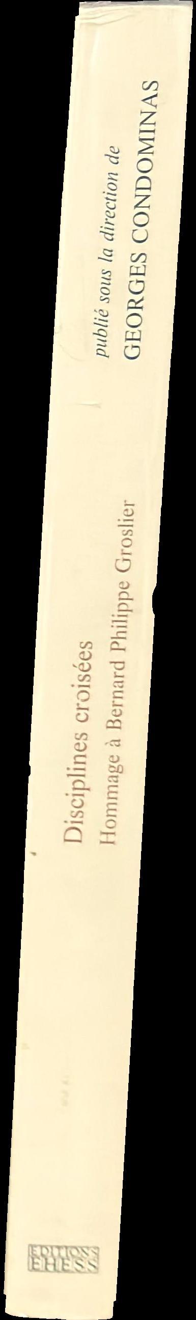 Disciplines croisées : hommage à Bernard Philippe Groslier spine