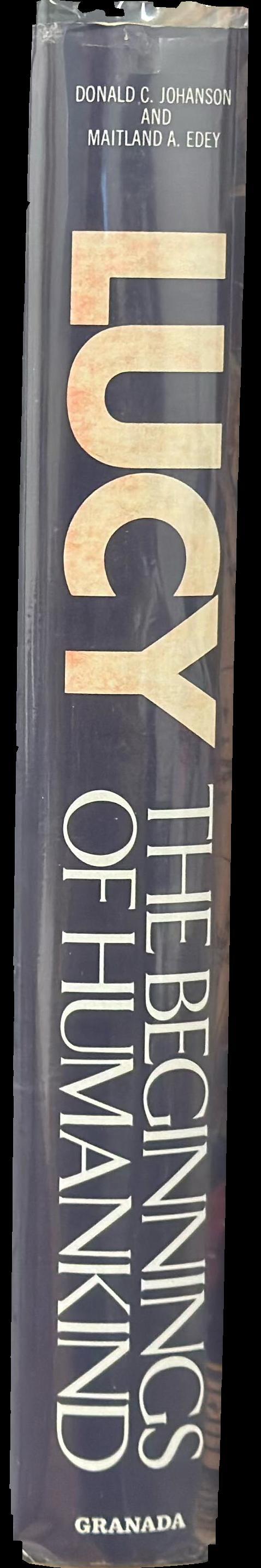 Lucy : the beginnings of humankind spine