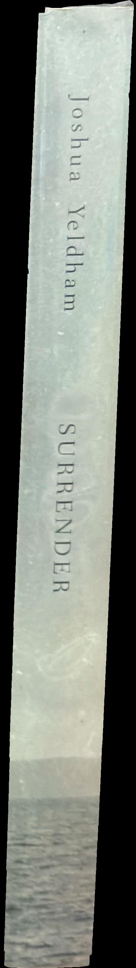 Surrender : a journal for my daughter spine