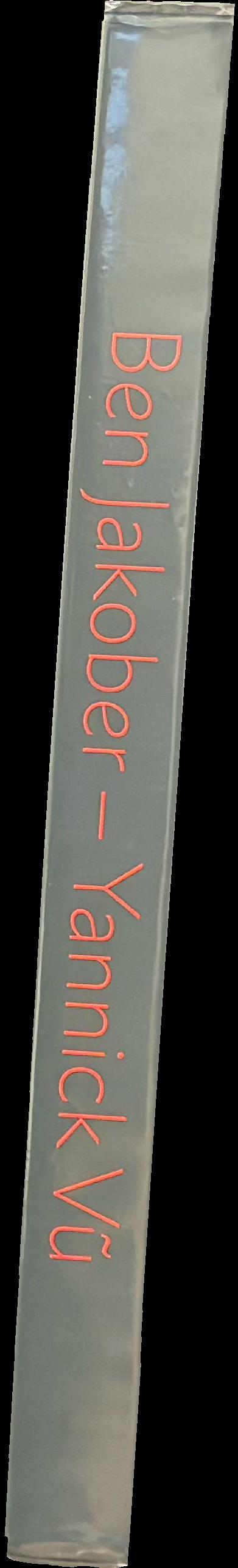 Ben Jakober — Yannick Vũ : 1996-2025 spine