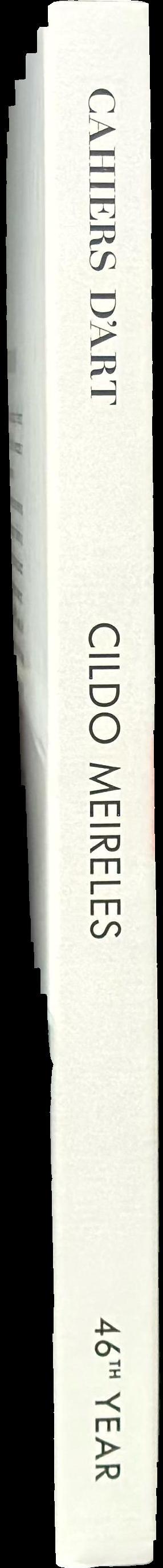 Cildo Meireles spine