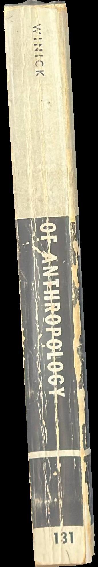 Dictionary of anthropology spine