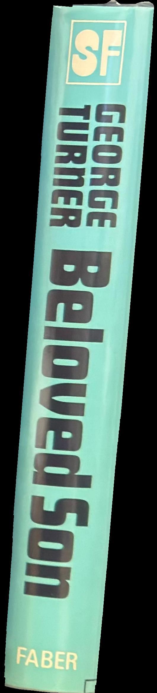 Beloved son spine