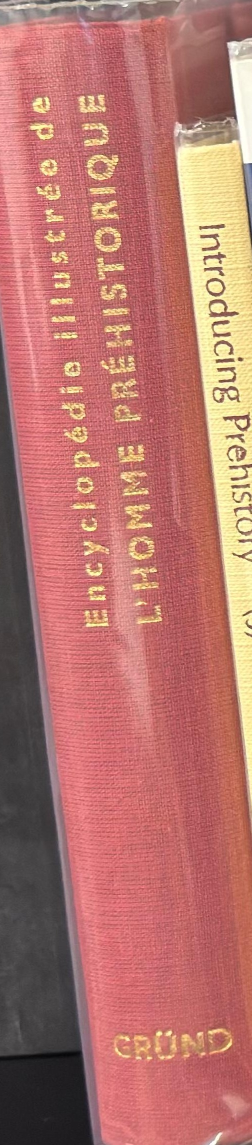 Encyclopédie illustrée de l’homme préhistorique spine