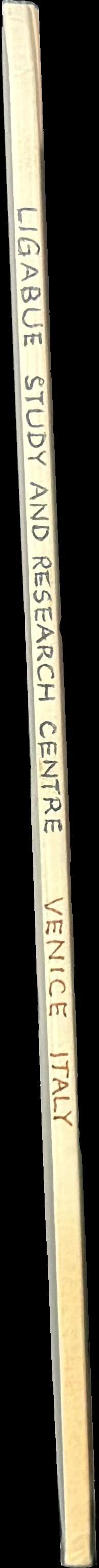 Ligabue Study and Research Centre : archaeology, enthropology, palaeontology, naturalsciences spine