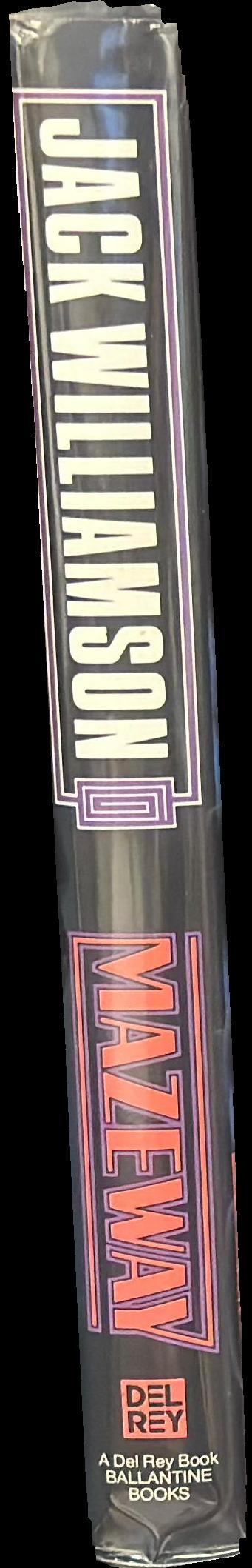 Mazeway spine