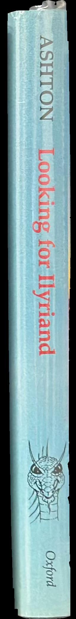 Looking for Ilyriand spine