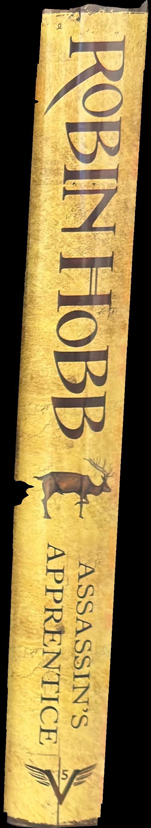 The assassin's apprentice spine