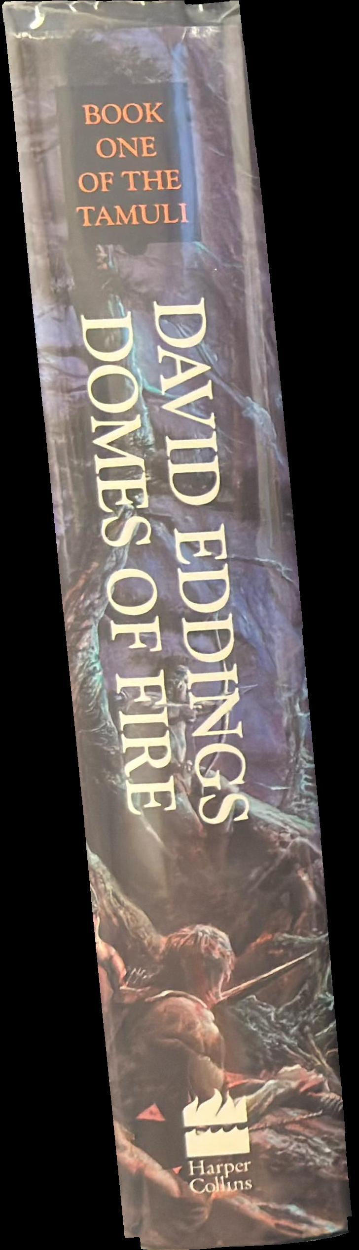 Domes of Fire : The Tamuli, book one spine